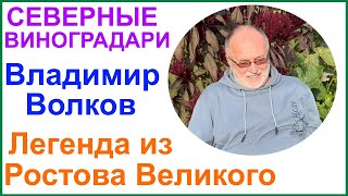 видео: В гостях у Владимира Волкова. Ответы на вопросы и немного о новинках. картинка: В гостях у Владимира Волкова. Ответы на вопросы и немного о новинках.