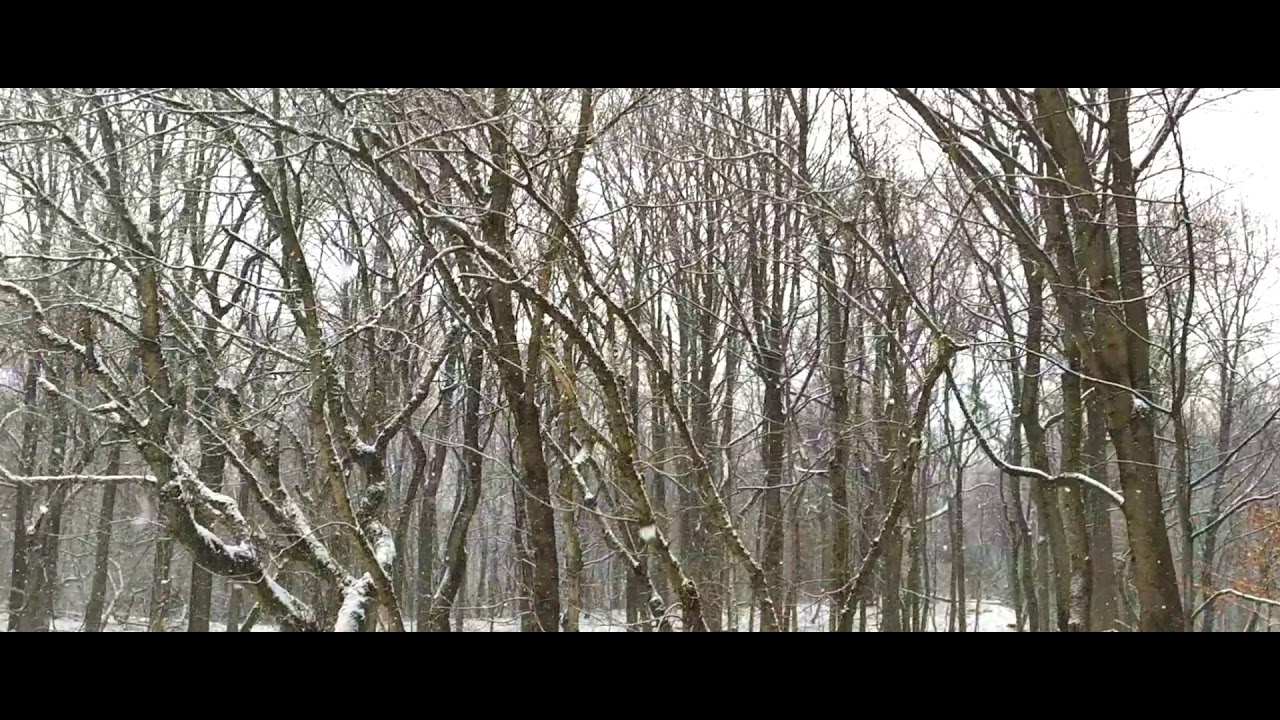 Hindi Snow Song YouTube