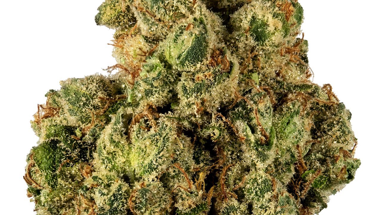Strain Review: G13