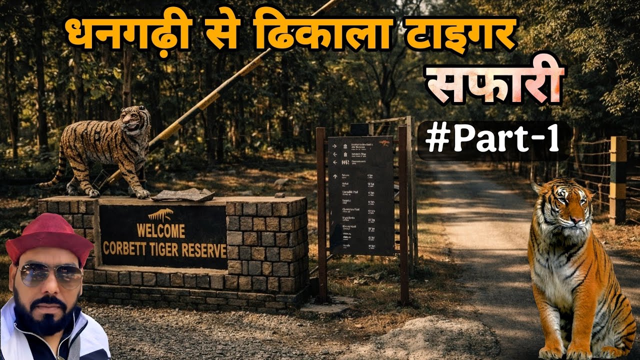 Deep forest Dhikala( ढिकाला, कॉर्बेट नेशनल पार्क)