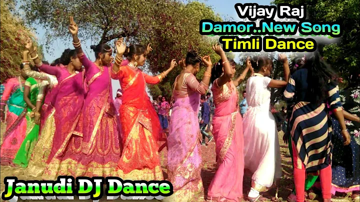 Vijay Raj Damor // New Song Janudi Dj Dance Timli