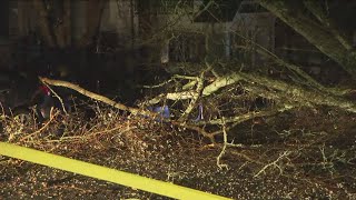 Trees downed in metro Atlanta following overnight thunderstorms