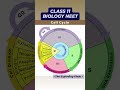 Cell Cycle Class 11 Biology Neet Cell Cycle and Cell Division #viralvideo #cbseboard #viral #neet