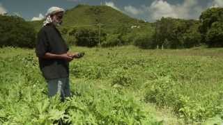 NRCS Caribbean 