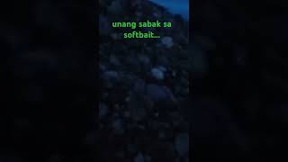 unang subok... #capung702 #fishing #phangler #ultralightfishing #angler #softbait #fish #ultralight