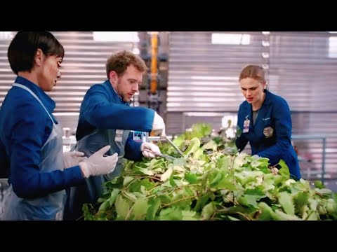 مذيع مشهور مقتول ومغلف بأوراق الشجر وقاتل رماه بعد ماكسر جمجمته وعظامه ومن مرضه بيعرفوا سراللي حصله