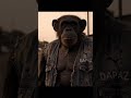 CHAKULA CHA MSIBANI CHAKULA CHA MSIBANI