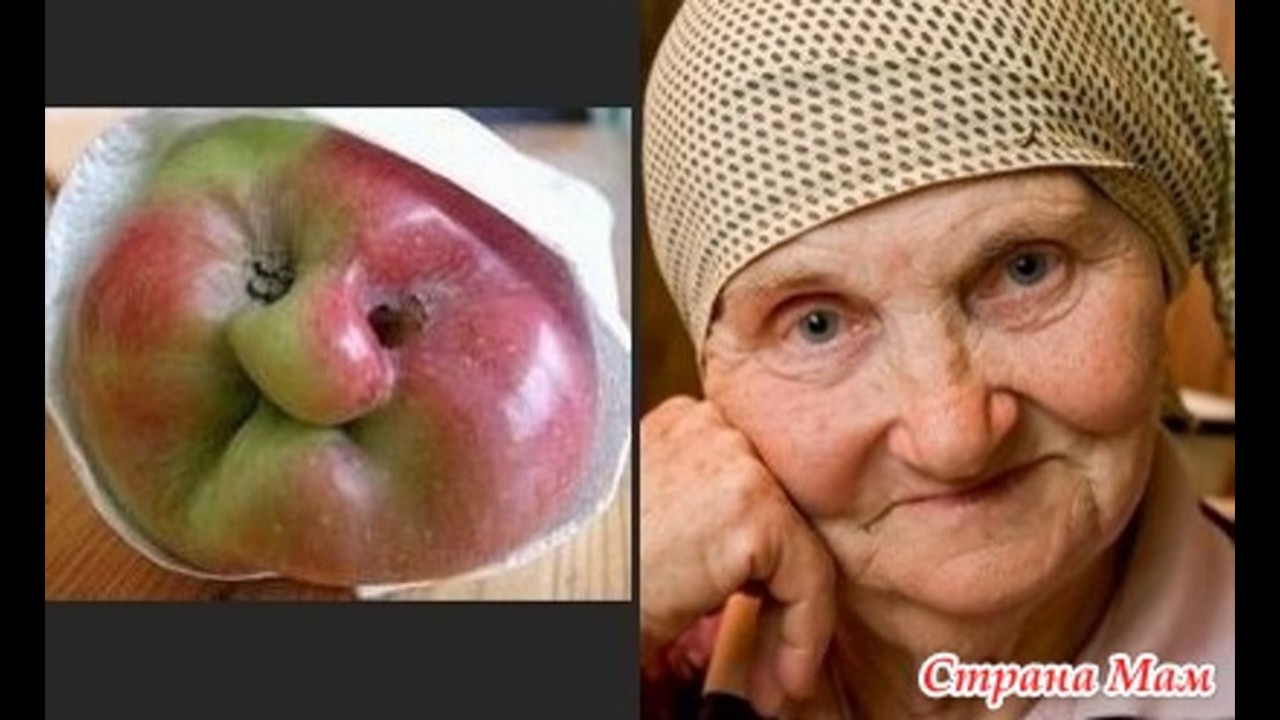Глупое яблоко. Забавные сходства фото. Бабка с яблоками. Бабуля с яблоками. Яблоко похожее на бабушку.