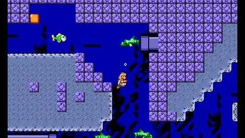 Super Mario Bros X "DK3 Water"