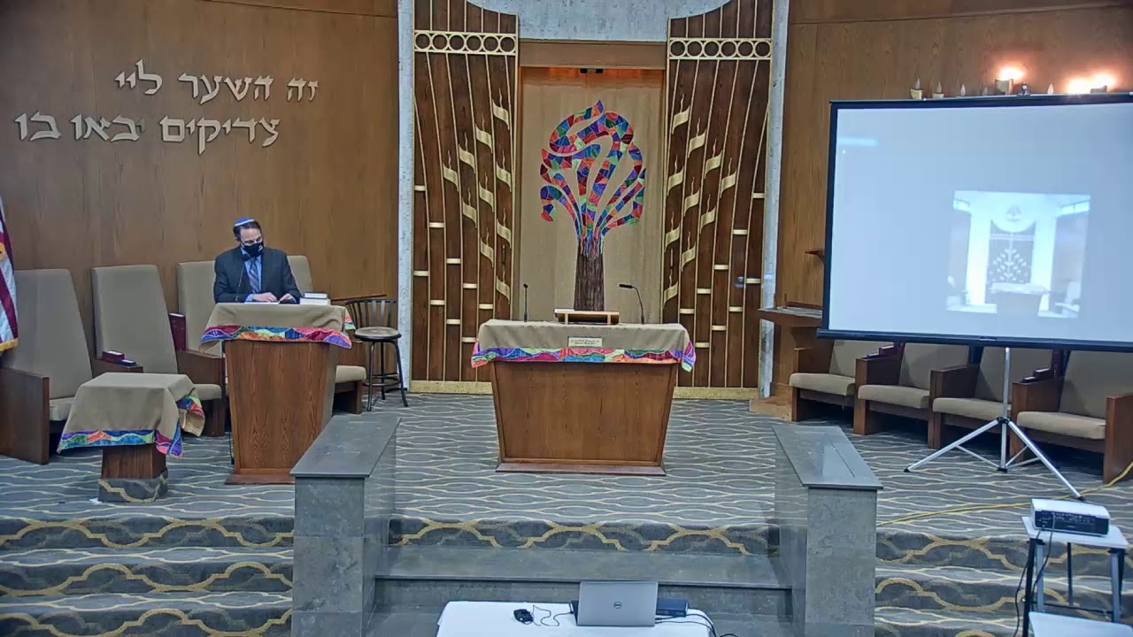 Sarah Fuller   Modern Maccabee