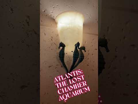 The Lost Chambers Aquarium at Atlantis Dubai #ofwlife #automobile #atlantisdubai ##lostofchambers