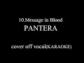 PANTERA - Message in Blood cover instrumental (off vocal)