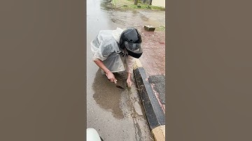 Clearing land and grass clogged drain  #culverts #unclog #remove #cleaning #drain #shorts