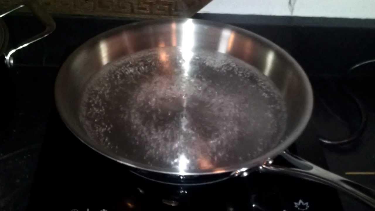 Duxtop Induction Cooktop and Calphalon TriPly YouTube