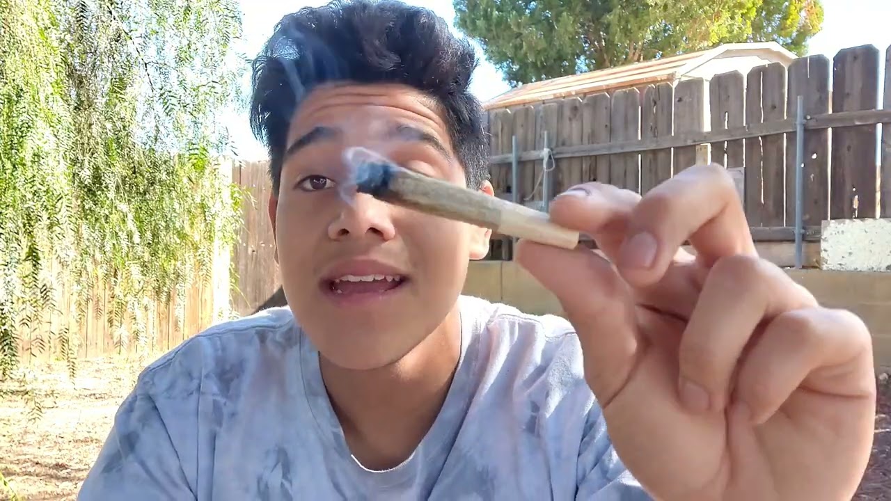 my favorite way to smoke (2g joint)