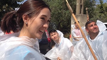 Catapult Challenge II