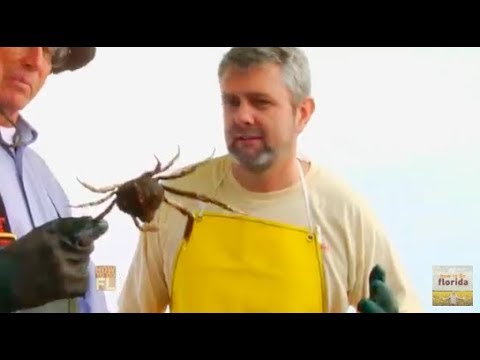 Florida Day Trip Hire A Crab Guide Youtube