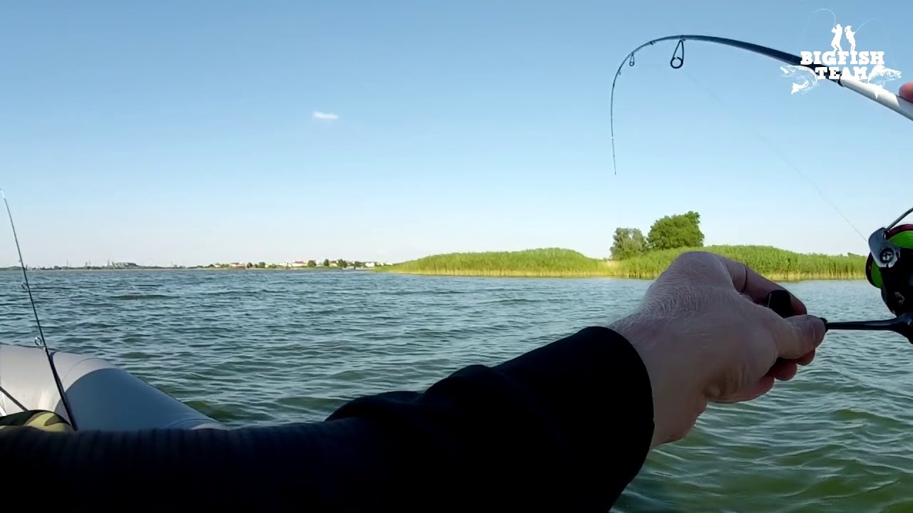 Спиннинг Daiwa Silver Creek (новая модель). Обзор и проверка судаком)