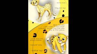 Cats With Spots - Amazing Animals Series Ios App Preview Iphone 6