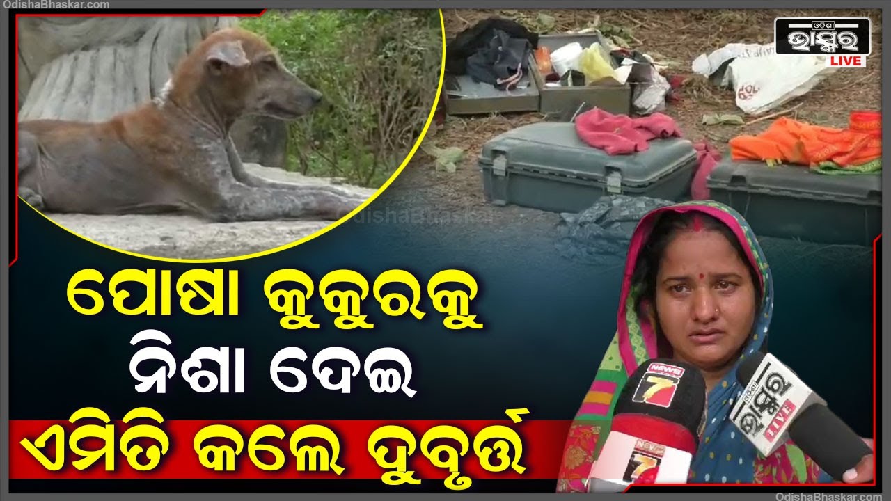 କାନ୍ଦୁଛନ୍ତି ପରିବାର, ସବୁ ଯାଇଥିଲେ ରାମଲୀଳା ଦେଖିବାକୁ, ହେଲେ ଆସିଲା ବେଳକୁ ଘର ଆଗରେ...