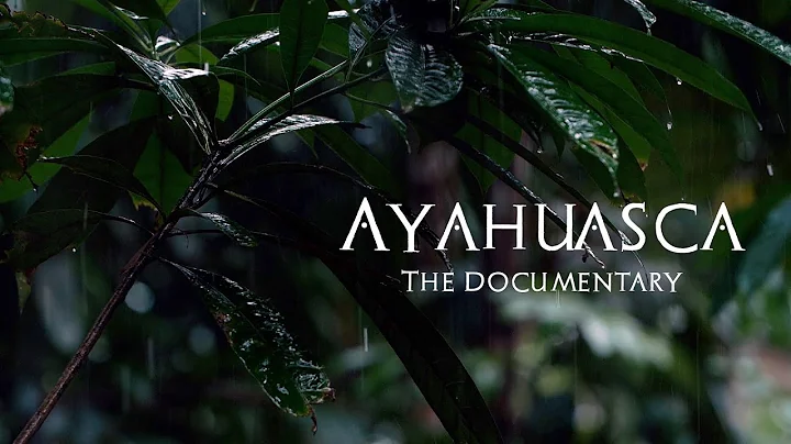 Ayahuasca The Documentary 2020