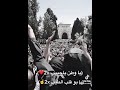 جني جني جني تسلم يا وطنا