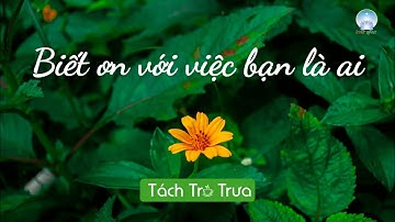 Biết Ơn Với Việc Bạn Là Ai | Inner Space