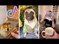 New ultimate trending on tiktok july 2020 tik tok compilations pt 1