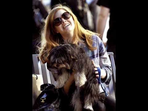 Amy Adams and Darren Le Gallo.wmv