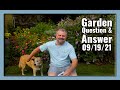 Garden Question and Answer - Great Questions - 09/19/21