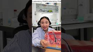 Download Lagu Jerawat Muncul di Tempat yang Sama?  #funskincare #jerawat MP3