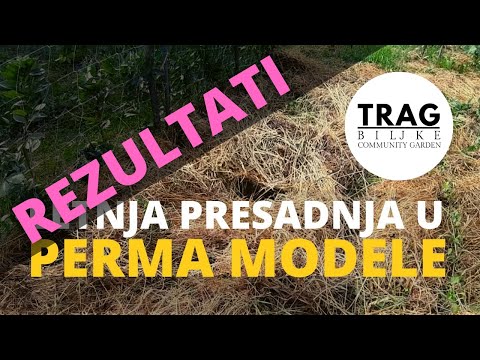 Video: Što je rezultat bujanja u okeanima?