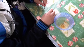 Rusting iron is a chemical change