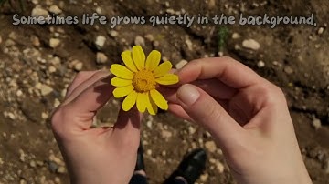 Trust the Process 🌿