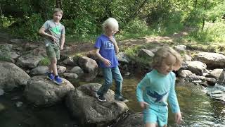 Buckingham Creek Stream Restoration Benefits Native Brook Trout Population