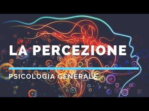 Video: Percezione Sociale: Il Significato Del Termine, Meccanismi, Effetti