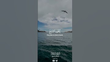 وتوكل على العزيز الرحيم الذي يراك حين تقوم وتقلبك في الساجدين||إسلام صبحي_سورة الشعراء
