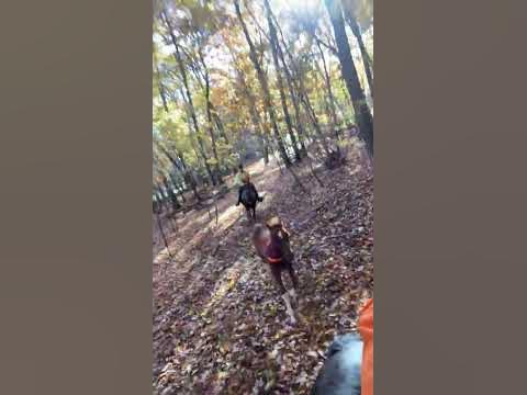 www.youtube.com