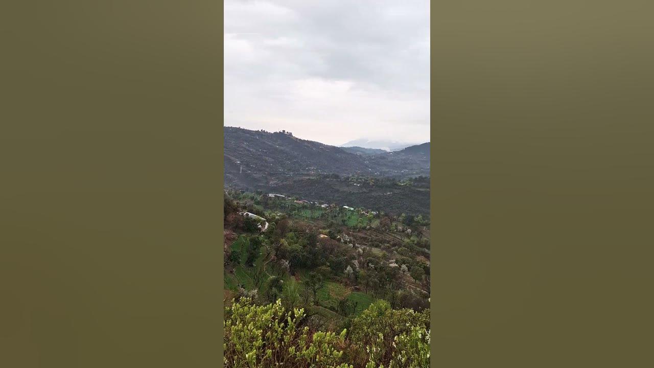 Natural beauty ✨️ #song #newsong Natural beauty ✨️ #song #newsong