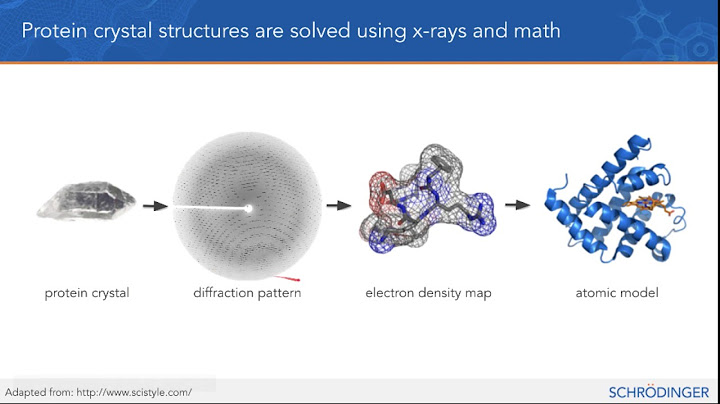 Science at Schrödinger (Grades 6-12)