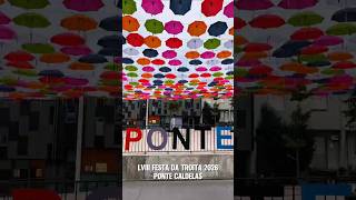 LVIII Festa da Troita 2026 en Ponte Caldelas #abellareporteira #gastronomíagalega #pontecaldelas