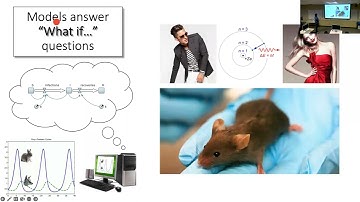 SOS 212: Lecture D-E (2022-09-29): Midterm Review