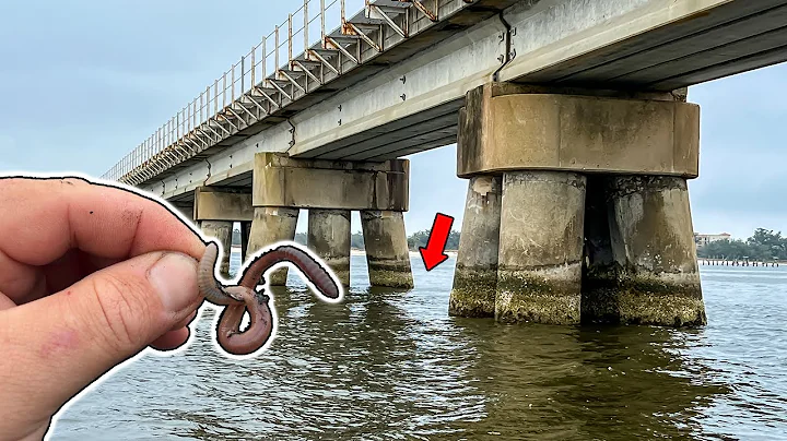 This is My New FAVORITE Way to Catch SHEEPSHEAD ** GIANT FISH CAUGHT **