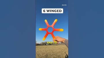 Have you ever seen these boomerangs?