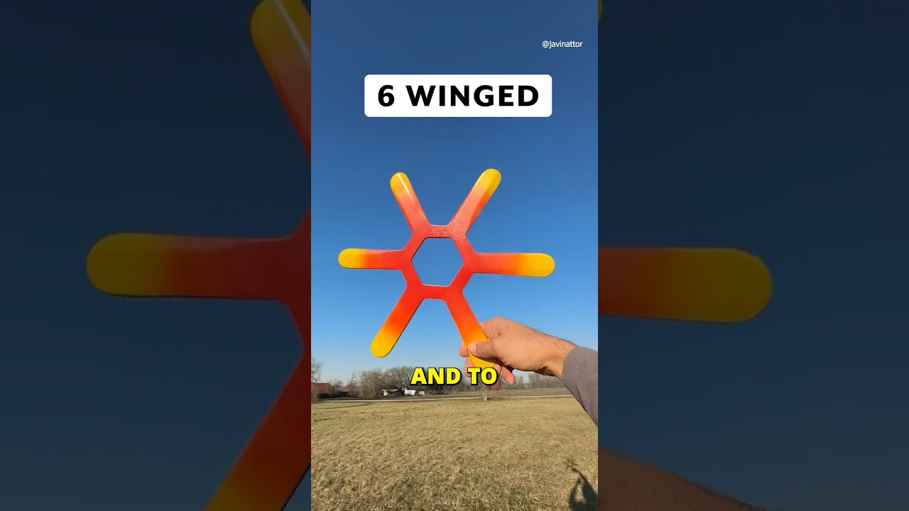 Have you ever seen these boomerangs?