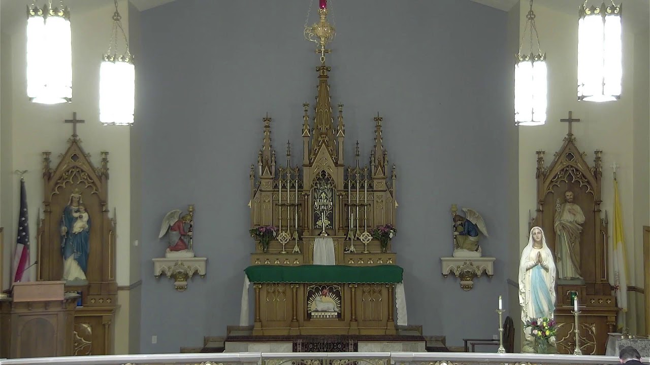 TUESDAY, February 4, 2025 (School Mass)