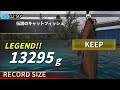 レジェンダリーフィッシング 超大物な伝説のキャットフィッシュ釣れた