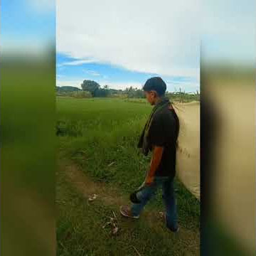 Story Wa,Sunda Lucu