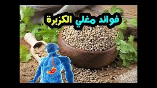 نبات الكزبرة