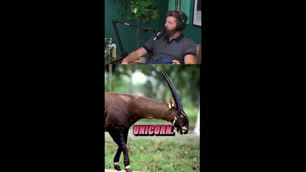 Вы слышали об азиатском единороге? 🇻🇳🦄 